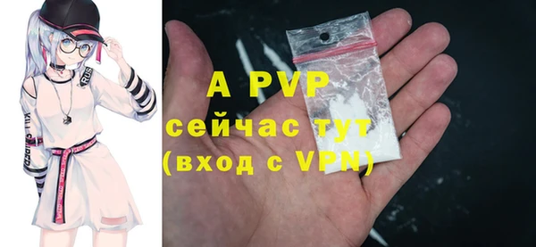 PSILOCYBIN Зеленодольск