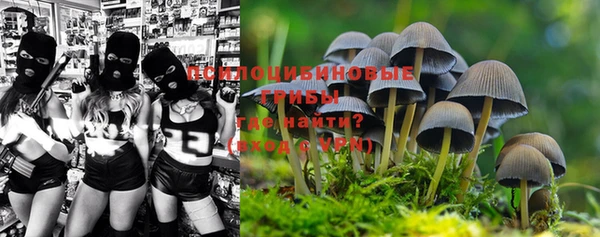 MDMA Premium VHQ Зерноград