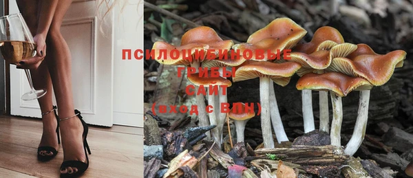 тгк Зеленокумск