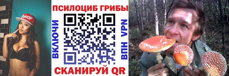 Псилоцибиновые грибы мухоморы  Купить  Поворино 